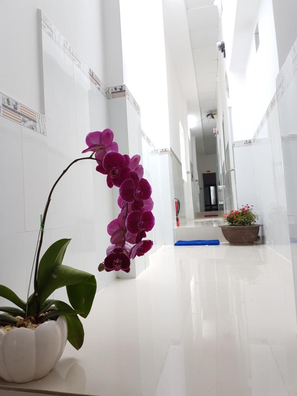 Song Ngoc Guesthouse Фу Куок Екстериор снимка
